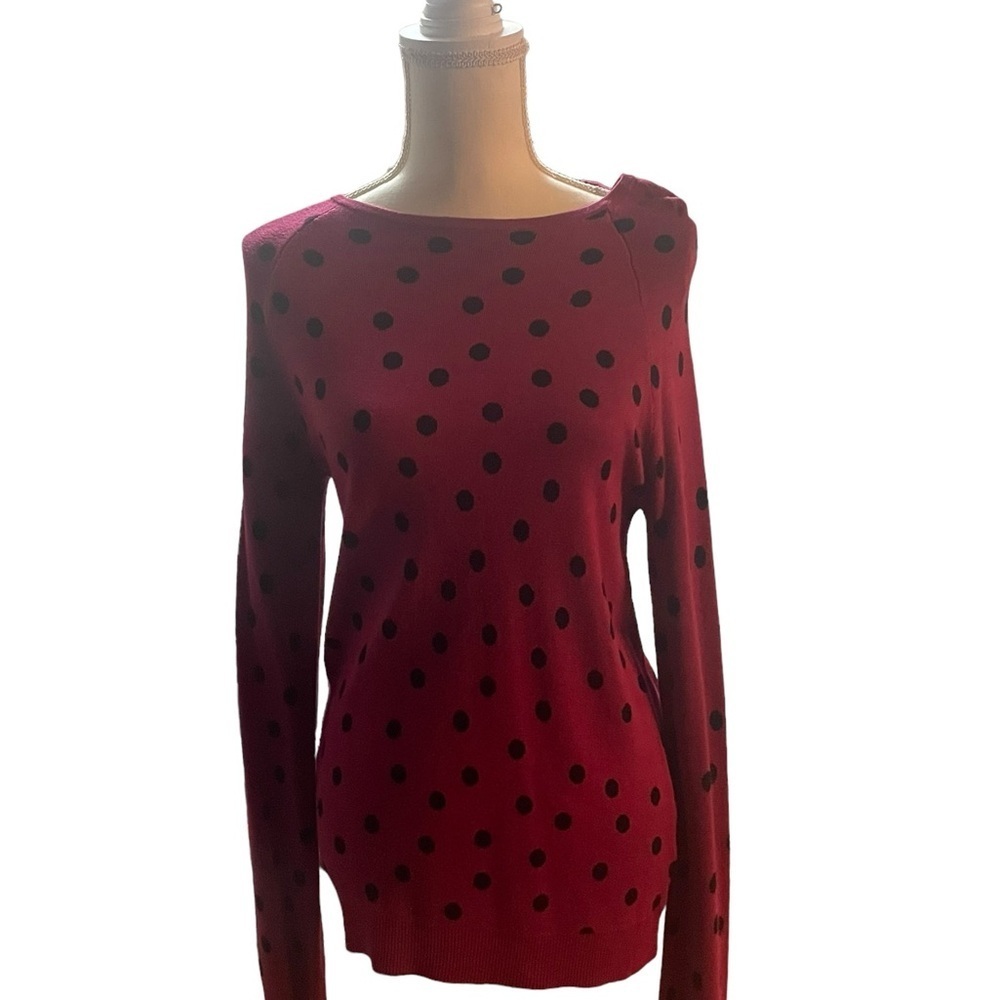 NWT SWEATER